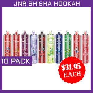 JNR SHISHA HOOKAH 12000 PUFFS premium disposable shisha vape with 12000 puffs