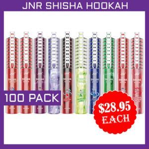 JNR SHISHA HOOKAH 12000 (100) PACK bulk disposable shisha vape multipack
