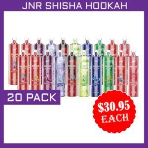 JNR SHISHA HOOKAH 12000 (20) PACK bulk disposable shisha vape multipack