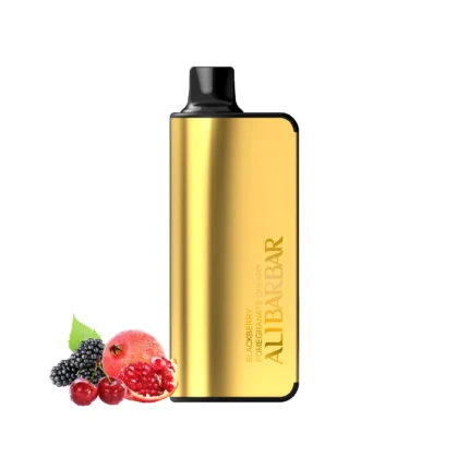 Best 9000 vape Australia disposable vape with Blue Razz Ice and Mango Peach flavors