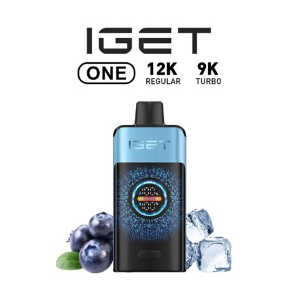 IGET One 12000 puffs Blueberry Ice – Long-lasting Disposable Vape