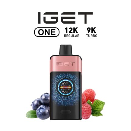 IGET One 12000 puffs Blueberry Raspberry – Long-lasting Disposable Vape