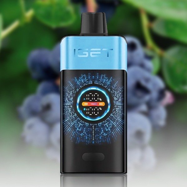 IGET ONE Blueberry Ice disposable vape device with flavors