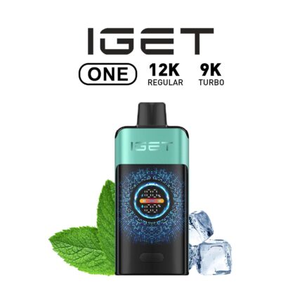 IGET One 12000 puffs Mountain Spring Mint Ice – Long-lasting Disposable Vape