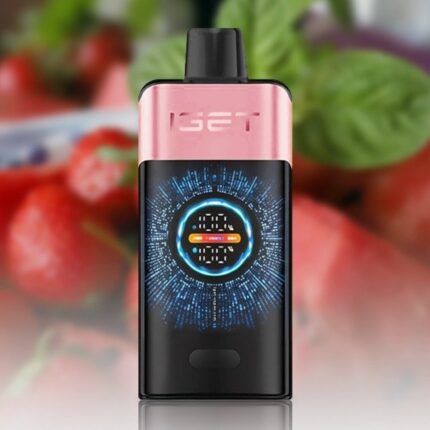 IGET ONE Strawberry Watermelon Ice disposable vape device with flavors