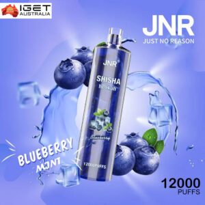 jnr shisha hookah blueberry mint 12000 puffs premium disposable vape device