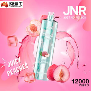 JNR-SHISHA-HOOKAH-JUICY-PEACHES-12000-PUFFS-1-300x300 JNR SHISHA HOOKAH JUICY PEACHES disposable vape device Australia