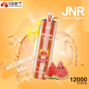 jnr shisha hookah watermelon bull 12000 puffs disposable vape device Australia