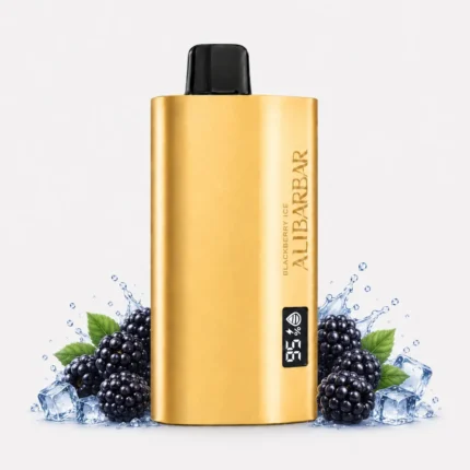 TEQ Bar 12000 Puffs Blackberry Ice premium disposable vape
