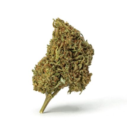 High-THCa Gorilla Glue Flower