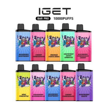 IGET One × 10 bulk pack – authentic Australian IGET vape devices
