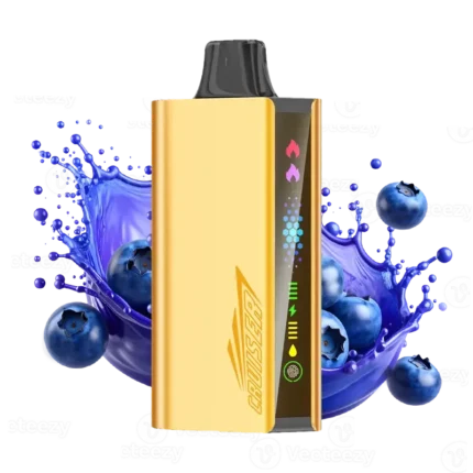 JNR Cruise Blueberry Blast premium vape device