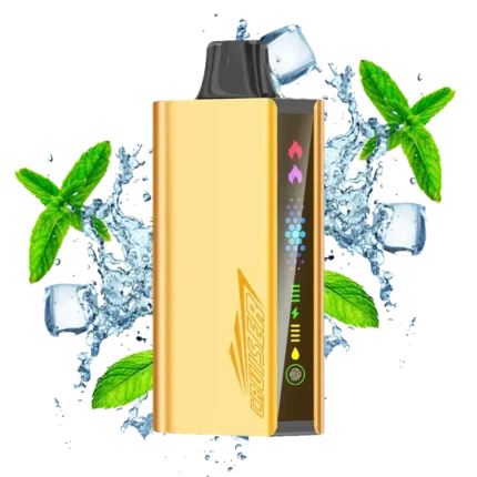 JNR Cruiser Cool Mint 12000 Puffs vape device