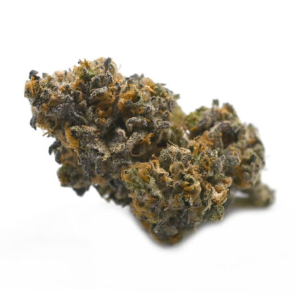 Platinum Blueberry