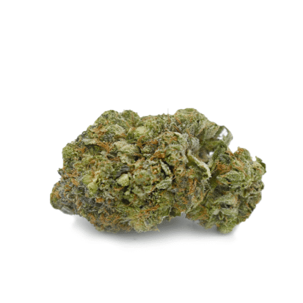 Tuna Rockstar AAA strain high-grade cannabis flower