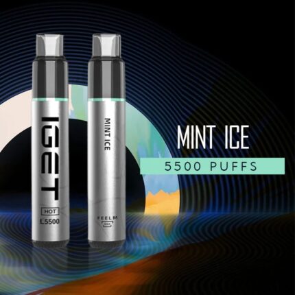 IGET Ice Cream with spicy mint vape device